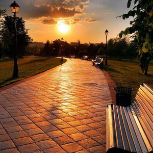 vr欧美人成在线播放
