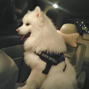 vr欧美人成在线播放
